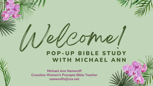 Michael Ann – Pop Up Bible Study